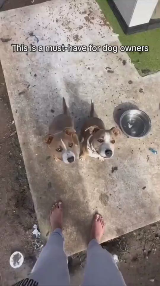 “¿Tu perro se queda sin agua cuando salís a pasear? 🐾
¡Eso se acabó! Con la Botella AriasCreative 3 en 1, tendrás agua, comida y bolsas higiénicas siempre a mano, en un solo accesorio compacto.
💧 Su depósito de 300 mililitros mantiene el agua limpia y fresca en todo momento.
🍖 Incluye un práctico compartimento para snacks o comida, perfecto para premiarlo mientras camina.
♻️ Y además, cuenta con un dispensador de bolsas de basura integrado, para mantener las calles limpias y cuidar el entorno.
